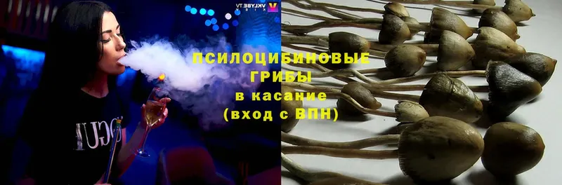 Цена Кизел Псилоцибиновые грибы  МЕФ  blacksprut как войти  СОЛЬ  Канабис 